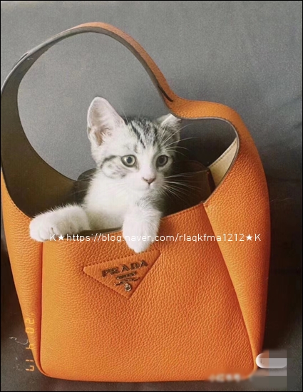 0d9ba8ef67f9d670e4f87b4391a6a2a4_1611914014_9879.jpg 0d9ba8ef67f9d670e4f87b4391a6a2a4_1611914014_9879.jpg