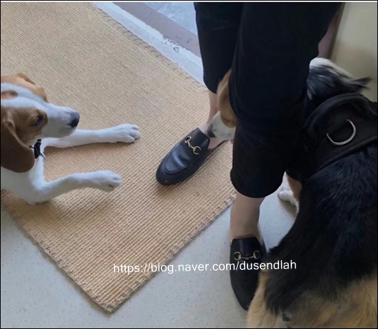 768a08b06015442469a31faa5d259c24_1616992069_3383.jpg 768a08b06015442469a31faa5d259c24_1616992069_3383.jpg