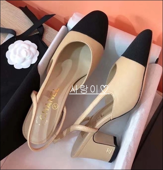 af2e2364ce2735ea701a308166029173_1614582545_9788.jpg af2e2364ce2735ea701a308166029173_1614582545_9788.jpg