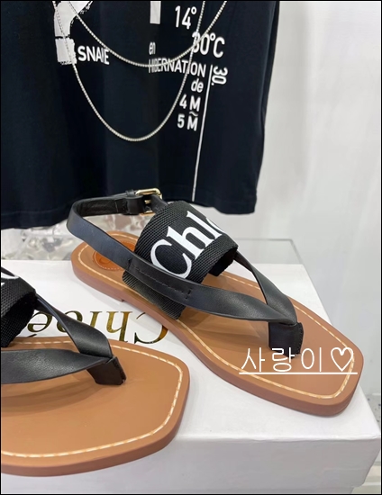 5f48e7d8a1a2930950a7e70e14139ac9_1618393880_2813.jpg 5f48e7d8a1a2930950a7e70e14139ac9_1618393880_2813.jpg