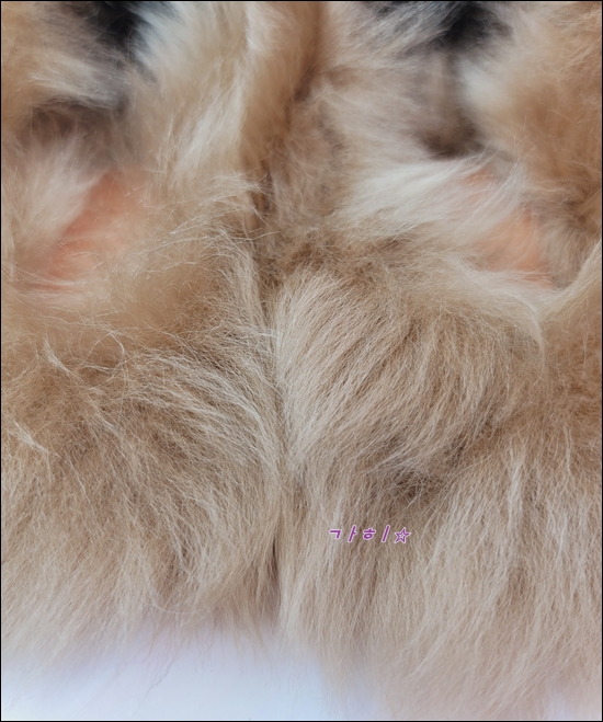 29548bdf6a7b070852cea0eb8bb45ac0_1640867420_9042.jpg 29548bdf6a7b070852cea0eb8bb45ac0_1640867420_9042.jpg