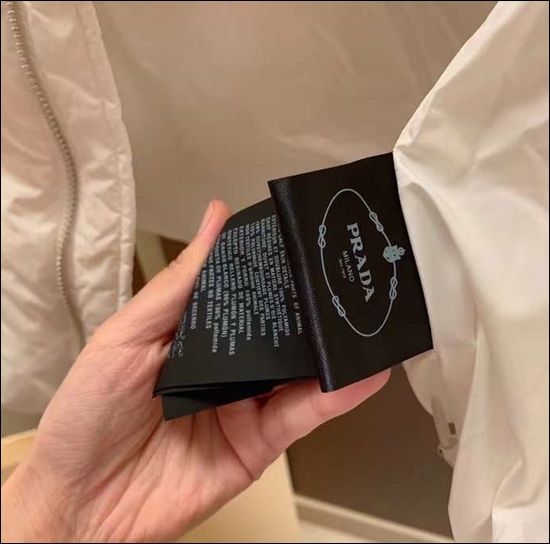 577cc392fa25f31885e6eea78f8cc58a_1664317058_8098.jpg 577cc392fa25f31885e6eea78f8cc58a_1664317058_8098.jpg