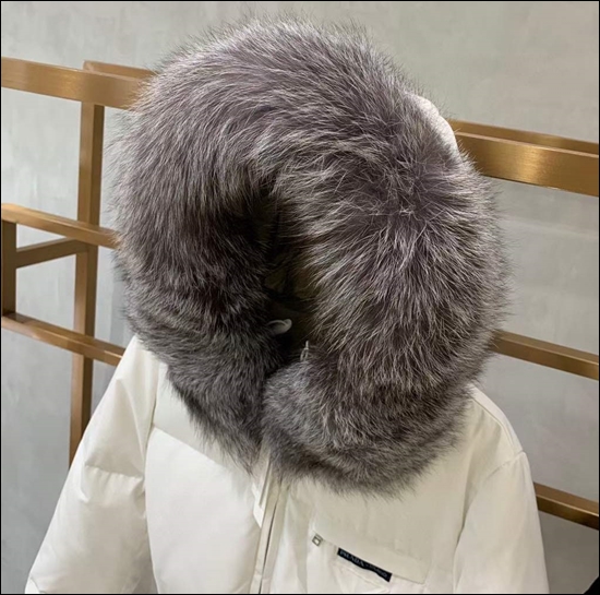 458063a6e5ee297537d756347e0abfcf_1673267938_6648.jpg 458063a6e5ee297537d756347e0abfcf_1673267938_6648.jpg