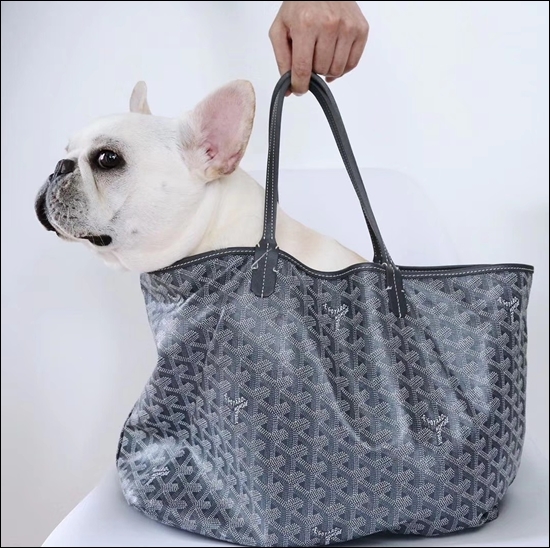 66f1d21212caa0319f2f59560531d722_1676351593_9974.jpg 66f1d21212caa0319f2f59560531d722_1676351593_9974.jpg