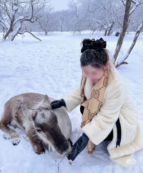 e84dc2fad9f1c3a66c27c7ee629bb32e_1697030001_1325.jpg e84dc2fad9f1c3a66c27c7ee629bb32e_1697030001_1325.jpg