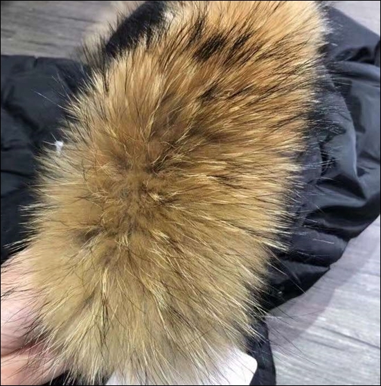 c7550f4f8dc136dbe1693f423c8980de_1699278092_811.jpg c7550f4f8dc136dbe1693f423c8980de_1699278092_811.jpg