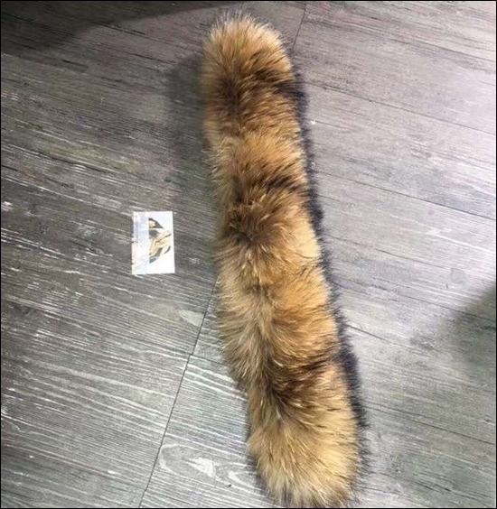 c7550f4f8dc136dbe1693f423c8980de_1699278093_0297.jpg c7550f4f8dc136dbe1693f423c8980de_1699278093_0297.jpg