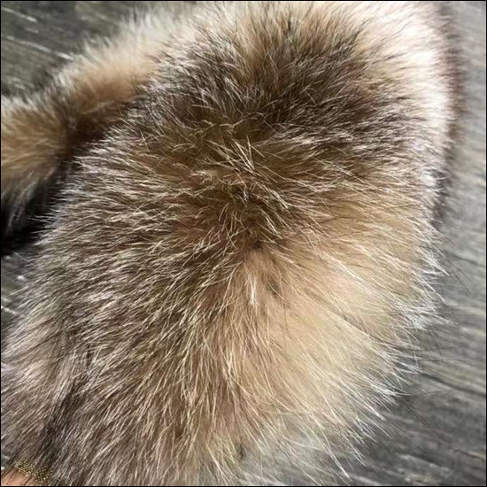 fdc710ba2c24f7cfea67de0362fb42c9_1700641573_3755.jpg fdc710ba2c24f7cfea67de0362fb42c9_1700641573_3755.jpg