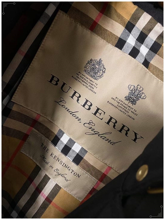 7275371db2678cd66e8e943f604644c4_1705914972_7273.jpg 7275371db2678cd66e8e943f604644c4_1705914972_7273.jpg