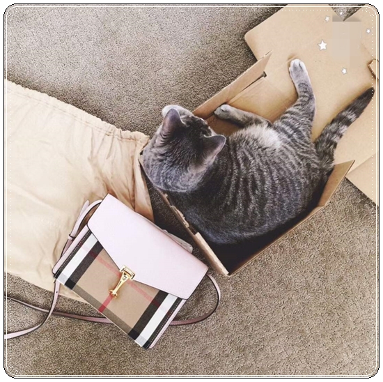 7629a758d642021974a8a1515f0a3c47_1713225465_5126.jpg 7629a758d642021974a8a1515f0a3c47_1713225465_5126.jpg