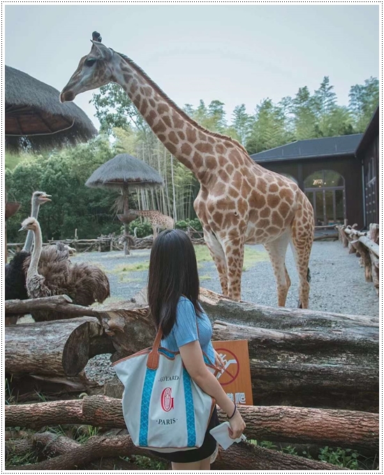 8f619f24daf65a1fbe3398377de71b6d_1714465756_2032.jpg 8f619f24daf65a1fbe3398377de71b6d_1714465756_2032.jpg