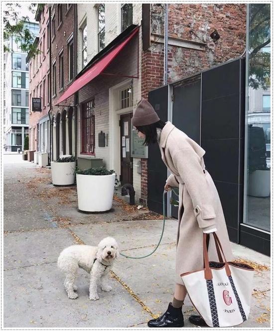 8f619f24daf65a1fbe3398377de71b6d_1714465786_3246.jpg 8f619f24daf65a1fbe3398377de71b6d_1714465786_3246.jpg