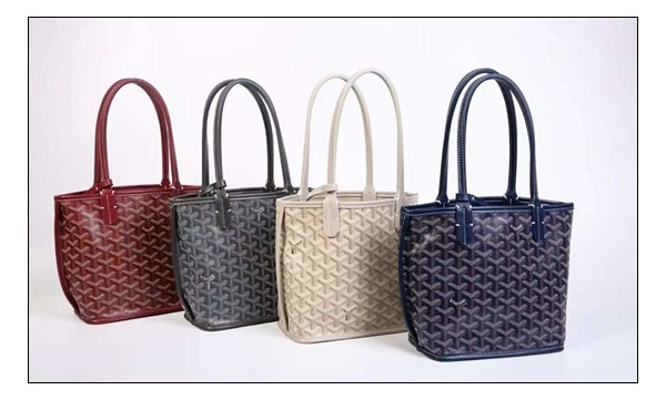 고야드 미니앙주 로망~