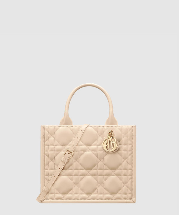 [DIOR-디올] Book Tote 스몰 백 M1325OWHP