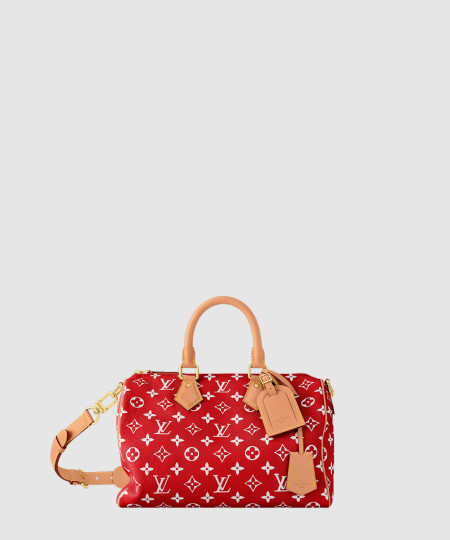 [LOUIS VUITTON-루이비통] Speedy P9 반둘리에 30 M14067