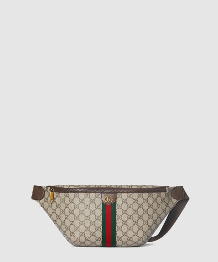 [GUCCI-구찌] 오피디아 라지 벨트백 839104